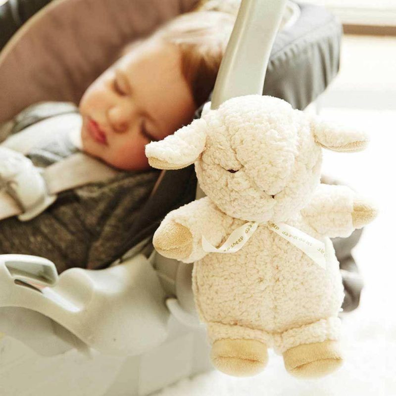 cloud b sleep sheep on the go traveling tikes 2