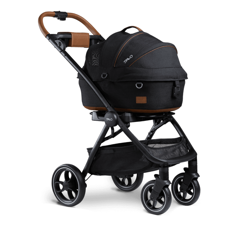 tavo maeve maevetm roscoetm onyx traveling tikes 2 b0045372 0197 4745 a338 6314ed3a3581