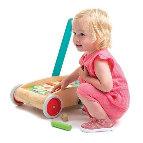 tender leaf toys baby block walker traveling tikes 4