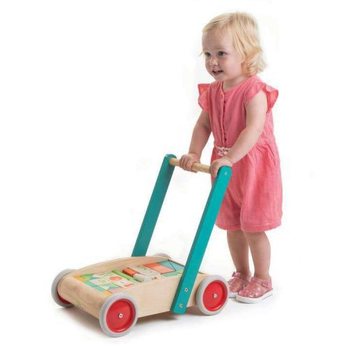 tender leaf toys baby block walker traveling tikes 5