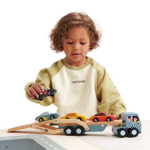 tender leaf toys car transporter traveling tikes 5