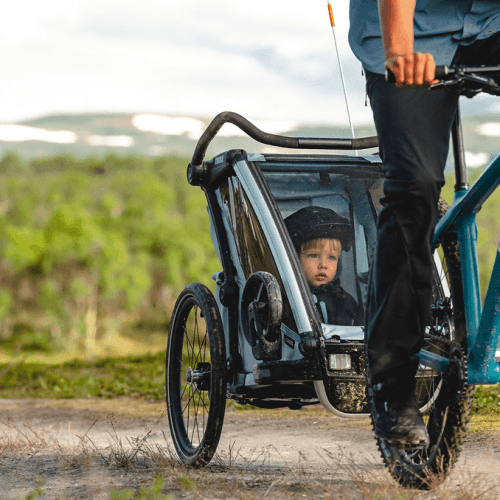 thule chariot cross 2 seat multisport bike trailer alaska blue traveling tikes 5