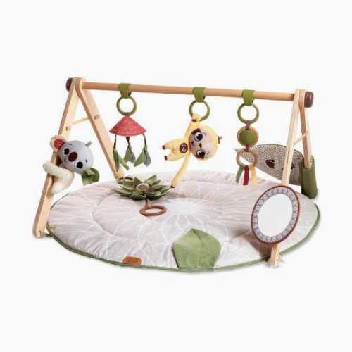 Tiny Love Boho Chic Luxe Developmental Gymini - Traveling Tikes